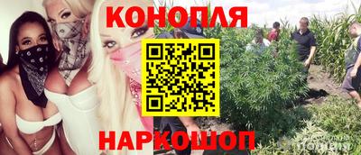 мяу мяу мука Ирбит