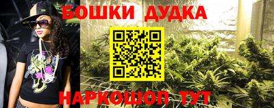 индика Изобильный