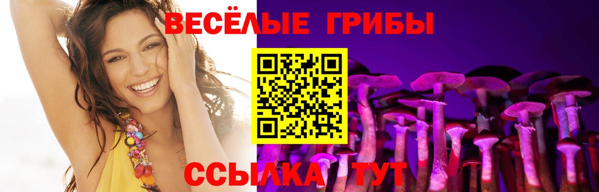 Галлюциногенные грибы Magic Shrooms  Галлюциногенные грибы мицелий  Вход с VPN  Керчь 